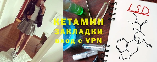 индика Алзамай